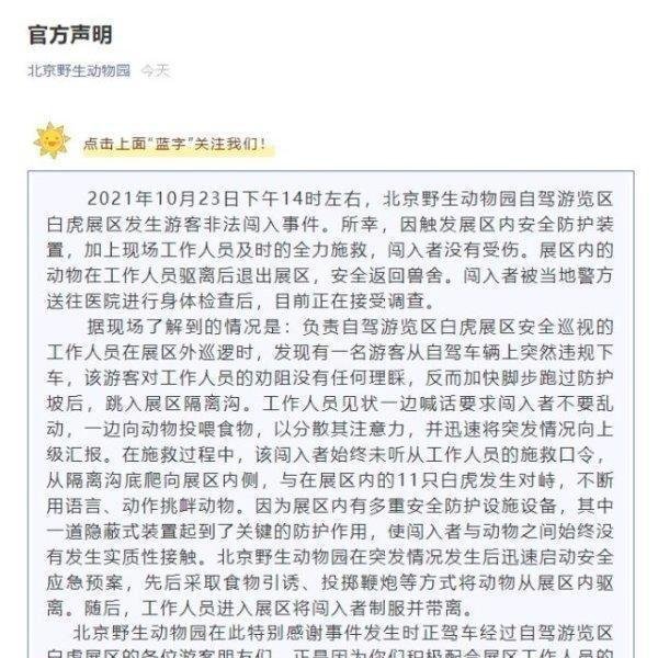 游客违规下车与虎群对峙 警方:已刑拘