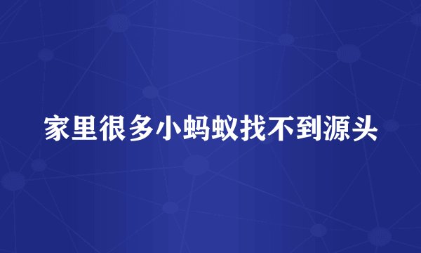 家里很多小蚂蚁找不到源头