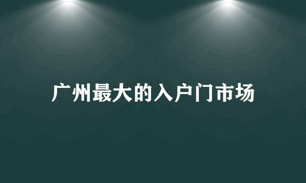 广州最大的入户门市场
