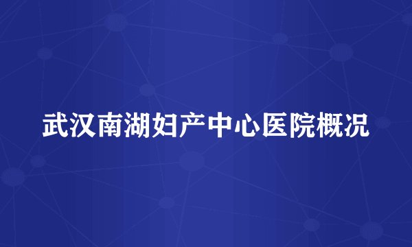 武汉南湖妇产中心医院概况