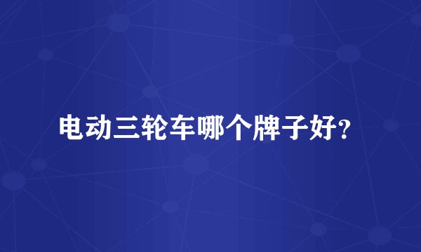电动三轮车哪个牌子好?