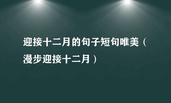迎接十二月的句子短句唯美（漫步迎接十二月）