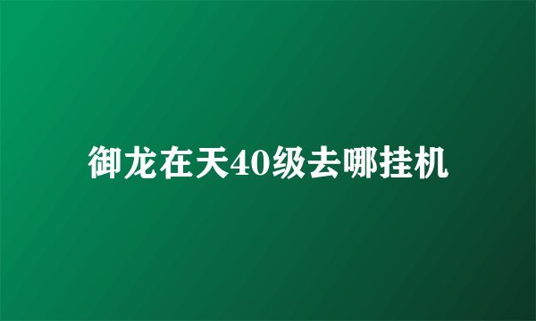 御龙在天40级去哪挂机
