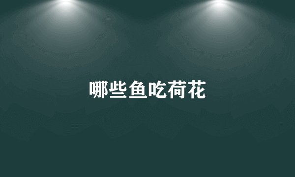 哪些鱼吃荷花