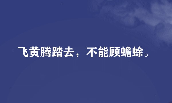 飞黄腾踏去，不能顾蟾蜍。