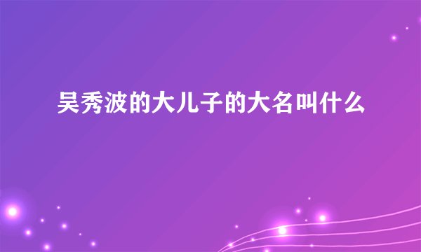 吴秀波的大儿子的大名叫什么