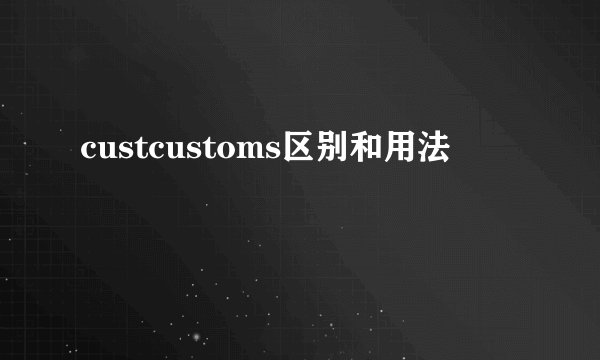 custcustoms区别和用法