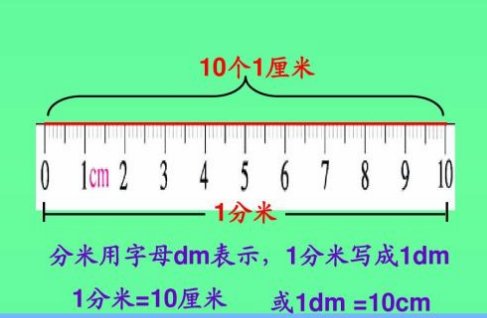 手指10公分有多长？