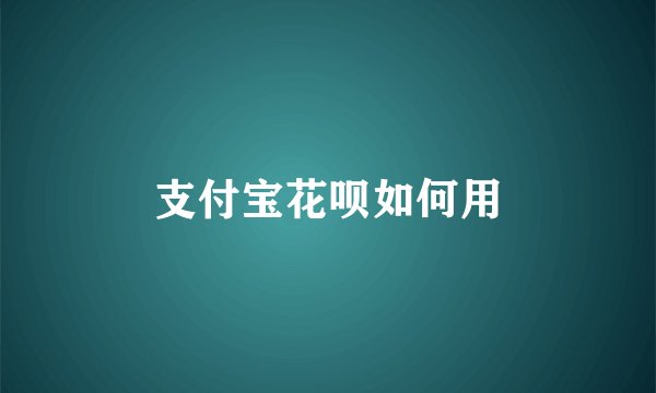 支付宝花呗如何用