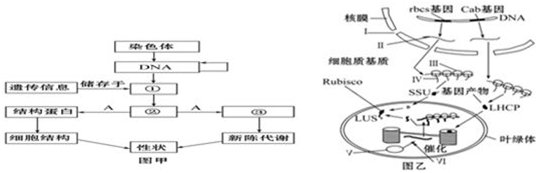 DNA变异的原理是什么?