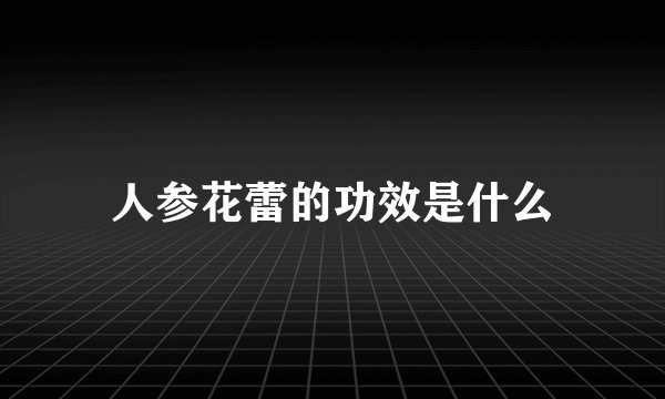 人参花蕾的功效是什么