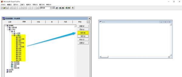 vf6.0给字段设置默认值