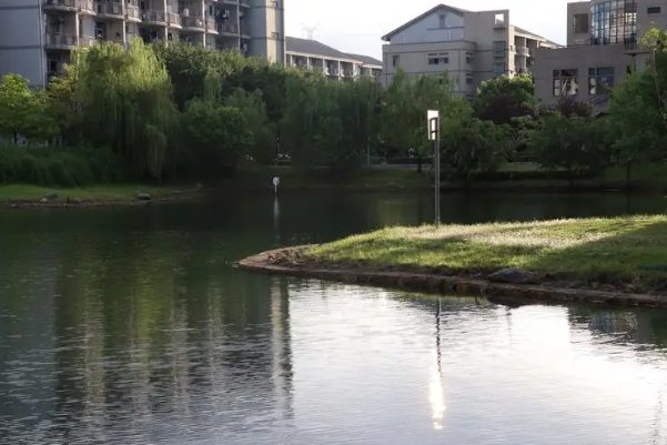 安徽大学高考录取分数线2023年