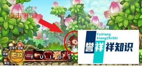 造梦西游3怎么抓宠物?