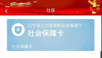 辽宁省机关养老社会保险参保缴费证明怎样查询