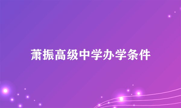 萧振高级中学办学条件