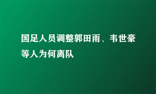 国足人员调整郭田雨、韦世豪等人为何离队