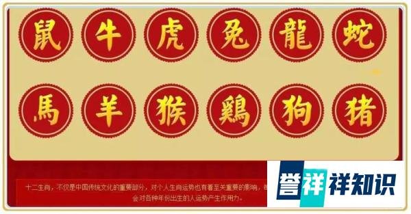 收获特别多！下半年事半功倍的属相