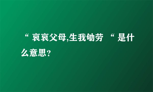 “ 哀哀父母,生我劬劳 “ 是什么意思？