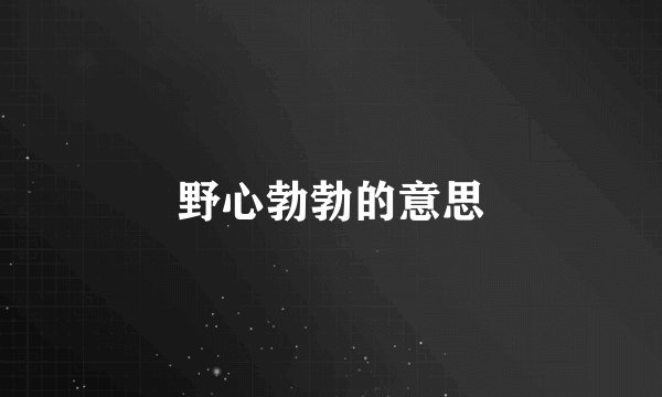 野心勃勃的意思