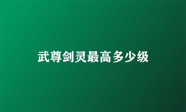 武尊剑灵最高多少级