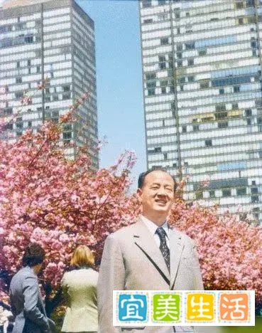 [摸鱼吐槽]被调休逼疯的打工人/摸鱼人，谁发明的啊？