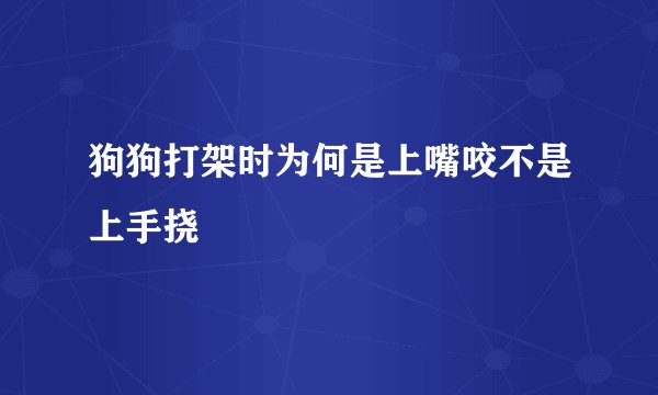 狗狗打架时为何是上嘴咬不是上手挠