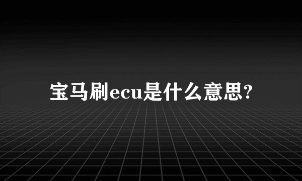 宝马刷ecu是什么意思?