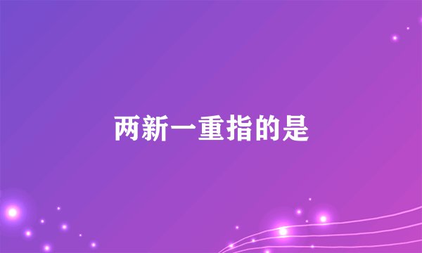 两新一重指的是