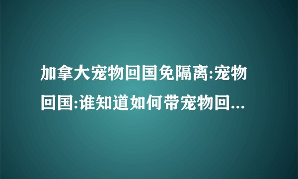 加拿大宠物回国免隔离:宠物回国:谁知道如何带宠物回国?怎么办理带宠物回国的手续的?