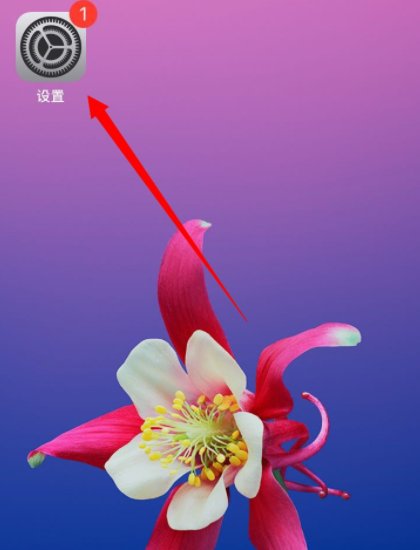 iphone14promax怎么锁屏黑屏