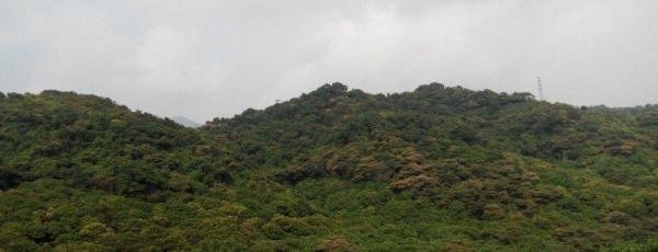 西冲旅游景点攻略