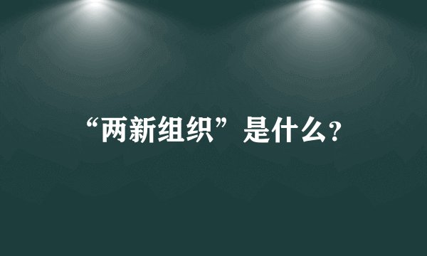 “两新组织”是什么？
