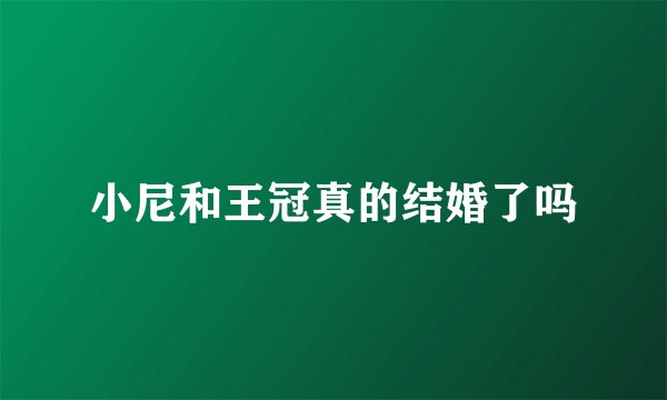 小尼和王冠真的结婚了吗