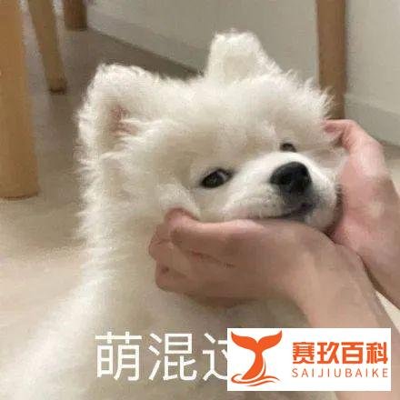 你们说“嘿咻”的时候，男女谁更累？