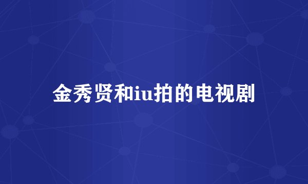 金秀贤和iu拍的电视剧