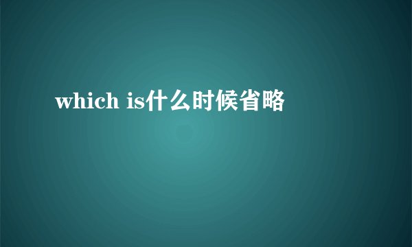 which is什么时候省略