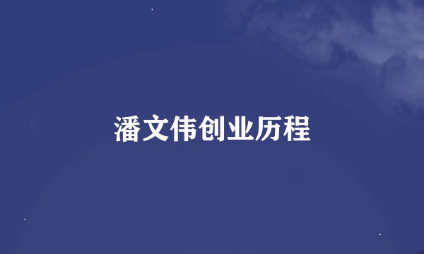 潘文伟创业历程