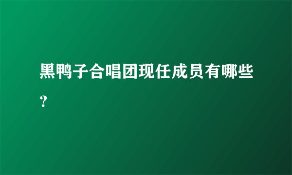 黑鸭子合唱团现任成员有哪些？