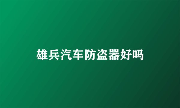 雄兵汽车防盗器好吗