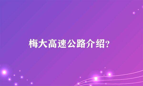 梅大高速公路介绍？