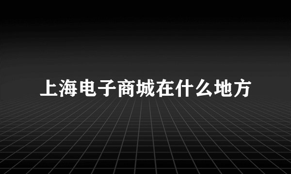 上海电子商城在什么地方