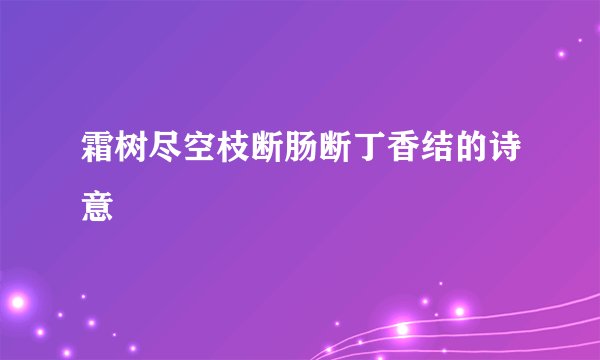 霜树尽空枝断肠断丁香结的诗意