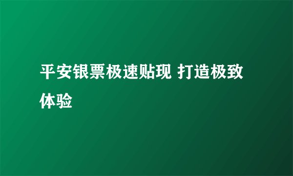 平安银票极速贴现 打造极致体验