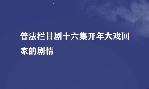 普法栏目剧十六集开年大戏回家的剧情