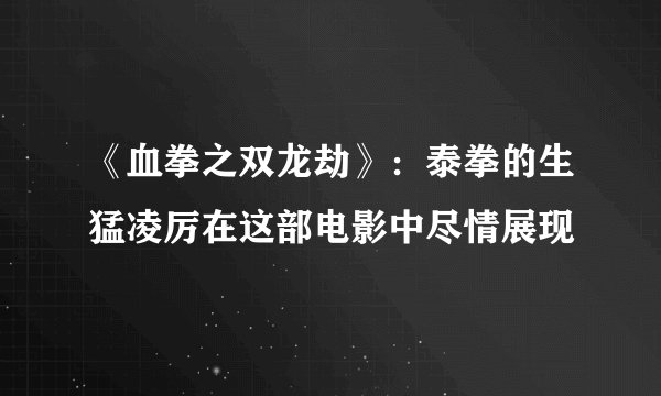 《血拳之双龙劫》：泰拳的生猛凌厉在这部电影中尽情展现