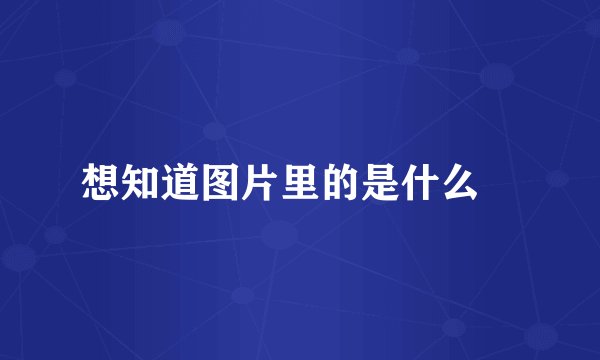 想知道图片里的是什么😳