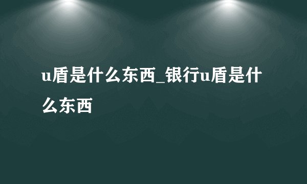 u盾是什么东西_银行u盾是什么东西