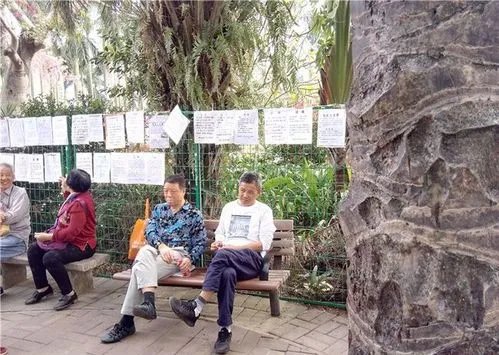 老年相亲角为何爆火?我国老年相亲市场的现状是什么样的?