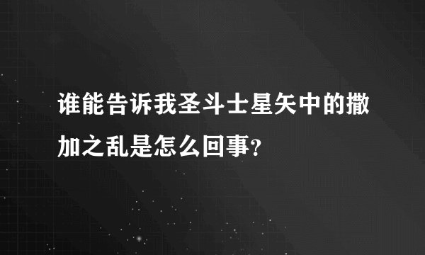 谁能告诉我圣斗士星矢中的撒加之乱是怎么回事？